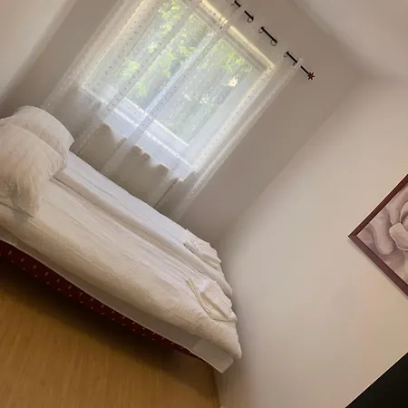Focus Hun 3 Apartment Miercurea Ciuc Exterior photo